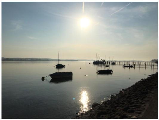Ferienwohnung Bodensee Nenzingen Hegau Orsingen-Nenzingen Bagian luar foto